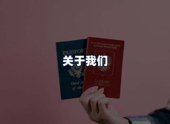 关于我们